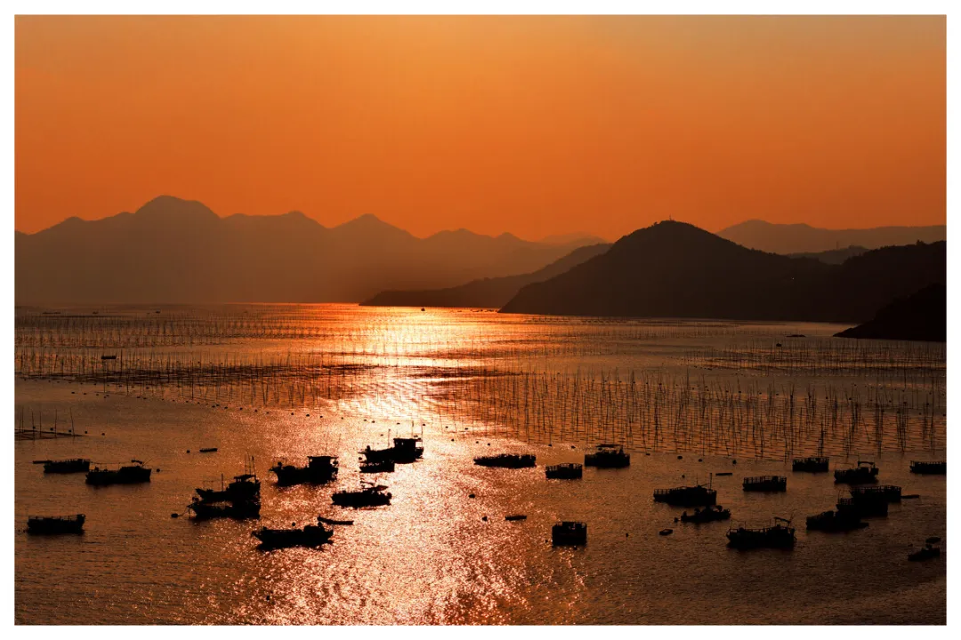 5e66bca8b41c9c23242eb8a73eaa9910-sz_343015-1