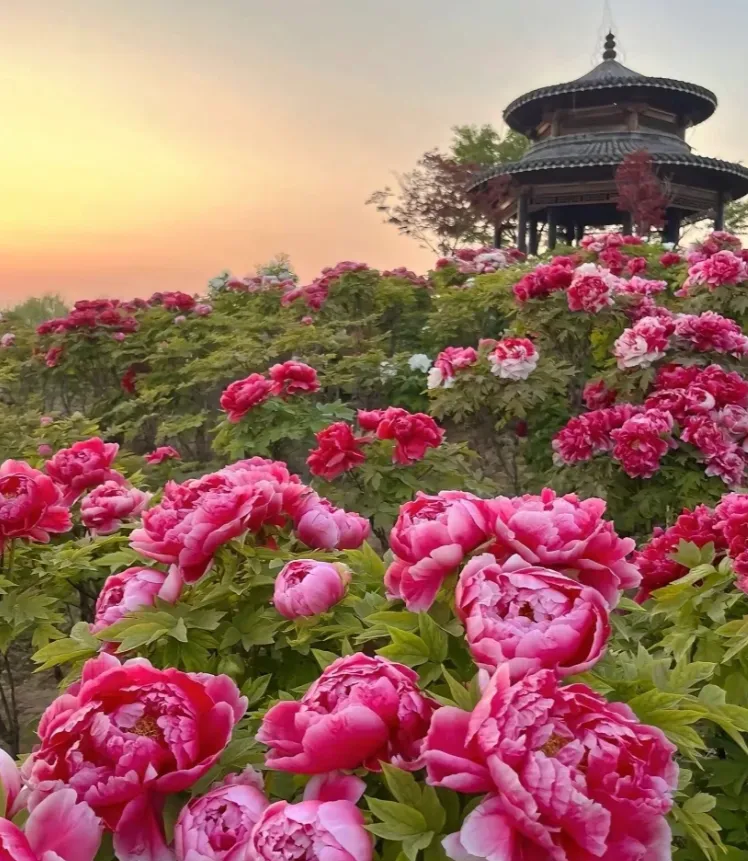 5e6f23881faa7265572281f9c85c94fe-sz_941192 5e6f23881faa7265572281f9c85c94fe-sz_941192