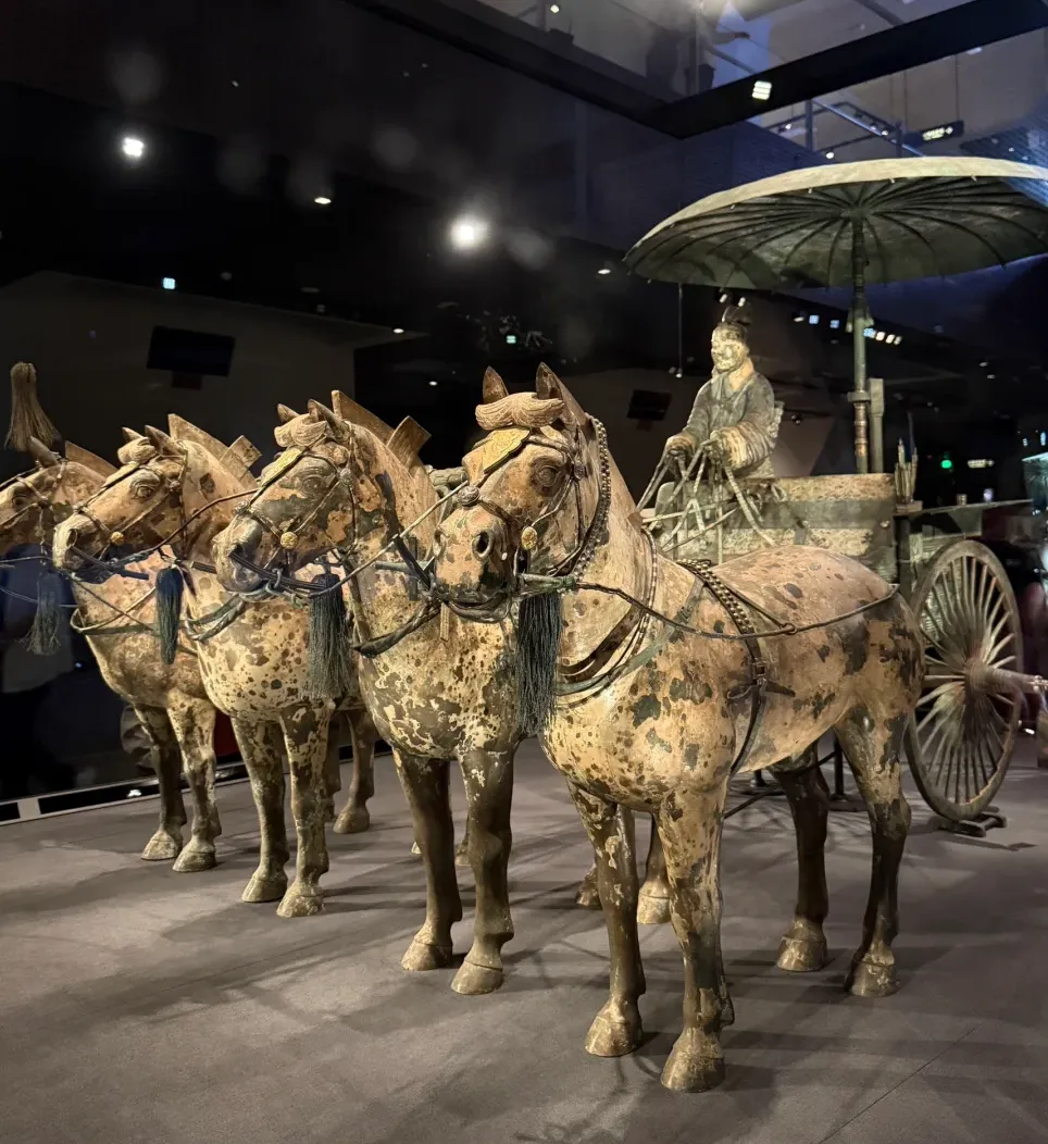 5eacf8e6f7cdd8f78847d4296d3f0177-sz_1801778