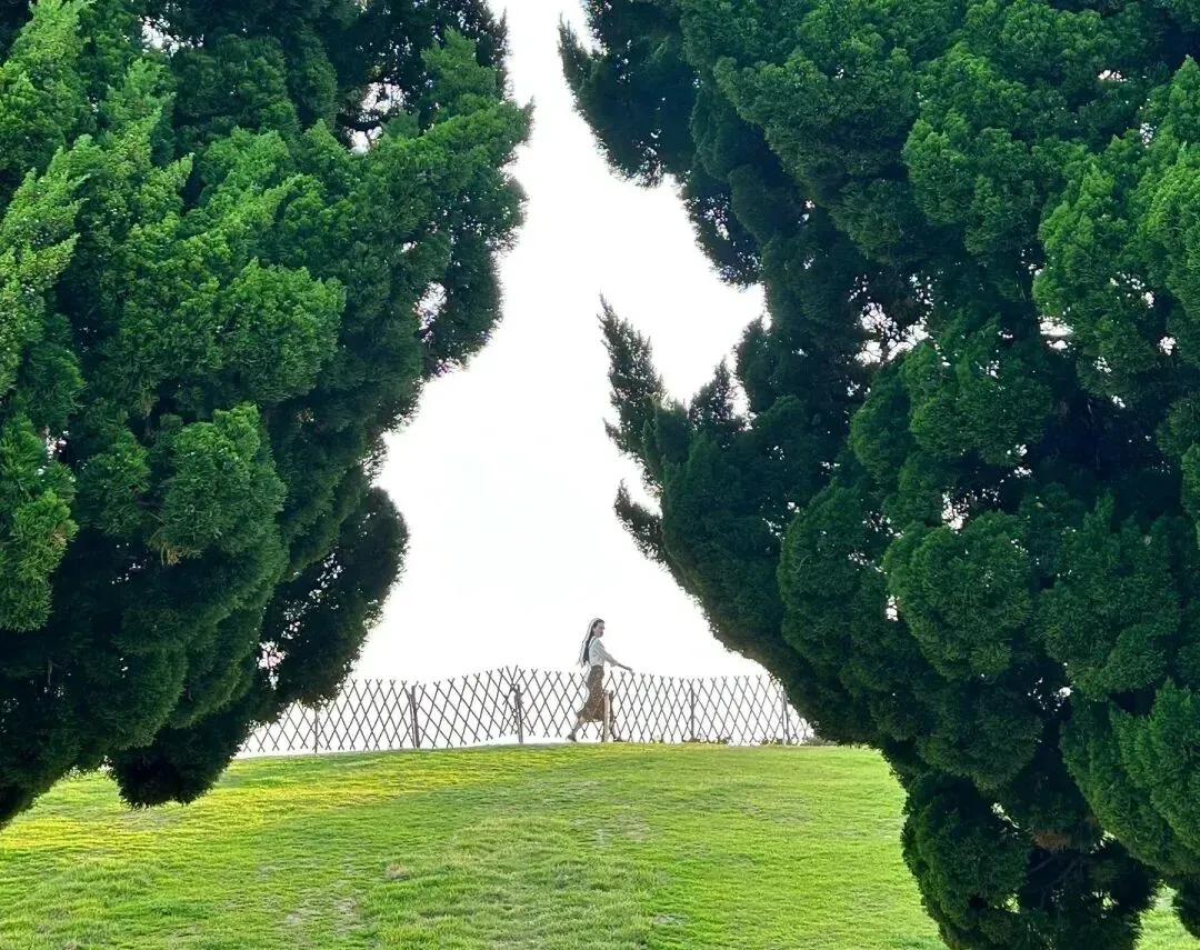 5ecc8fd3cbe8fdac71fb1c642eb2b010-sz_230195