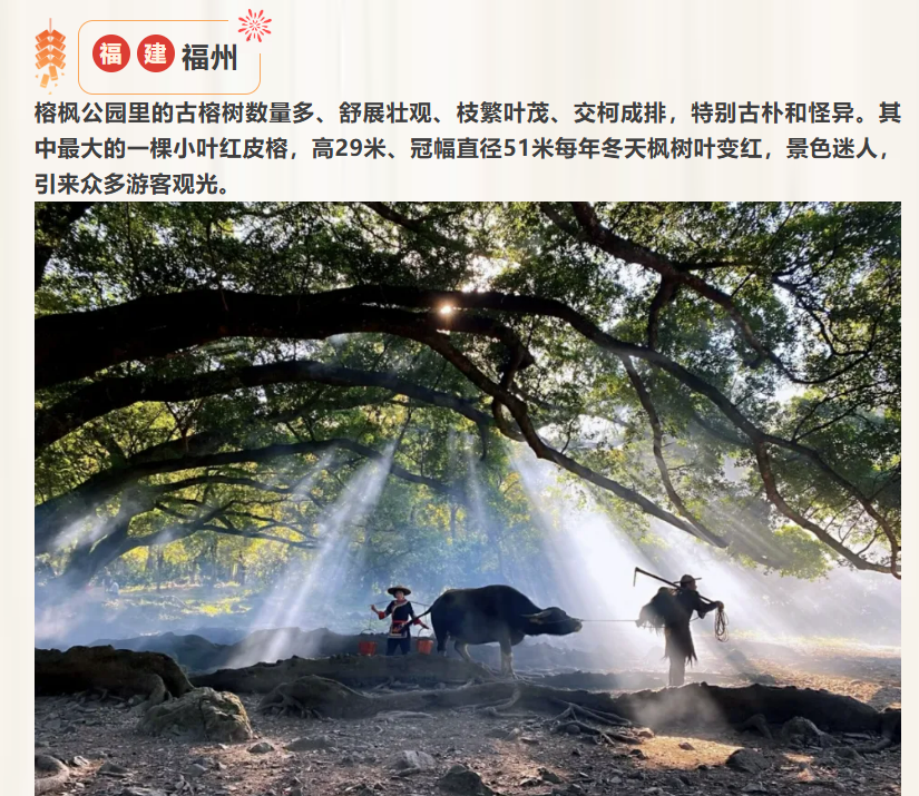 5ef3dc793b449350d1ef21b32ceaf55b