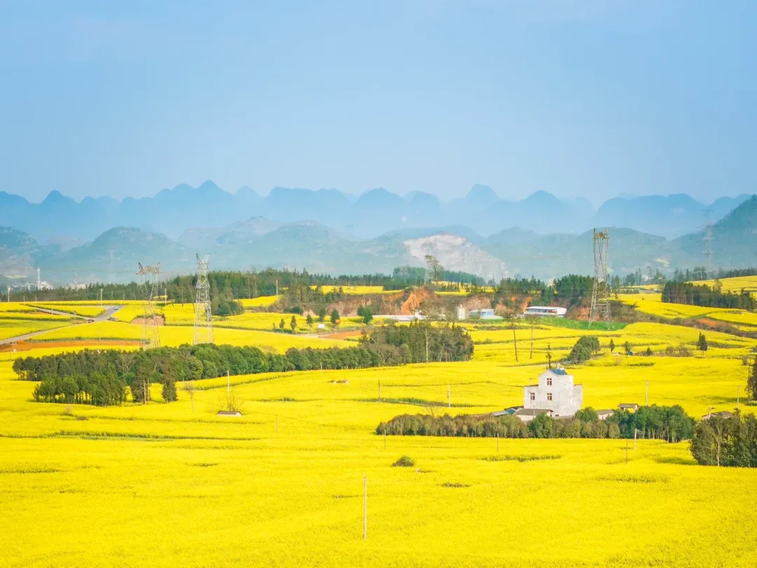 5f6542a4b95ae135cb51f12620dd8cb4-sz_3065979