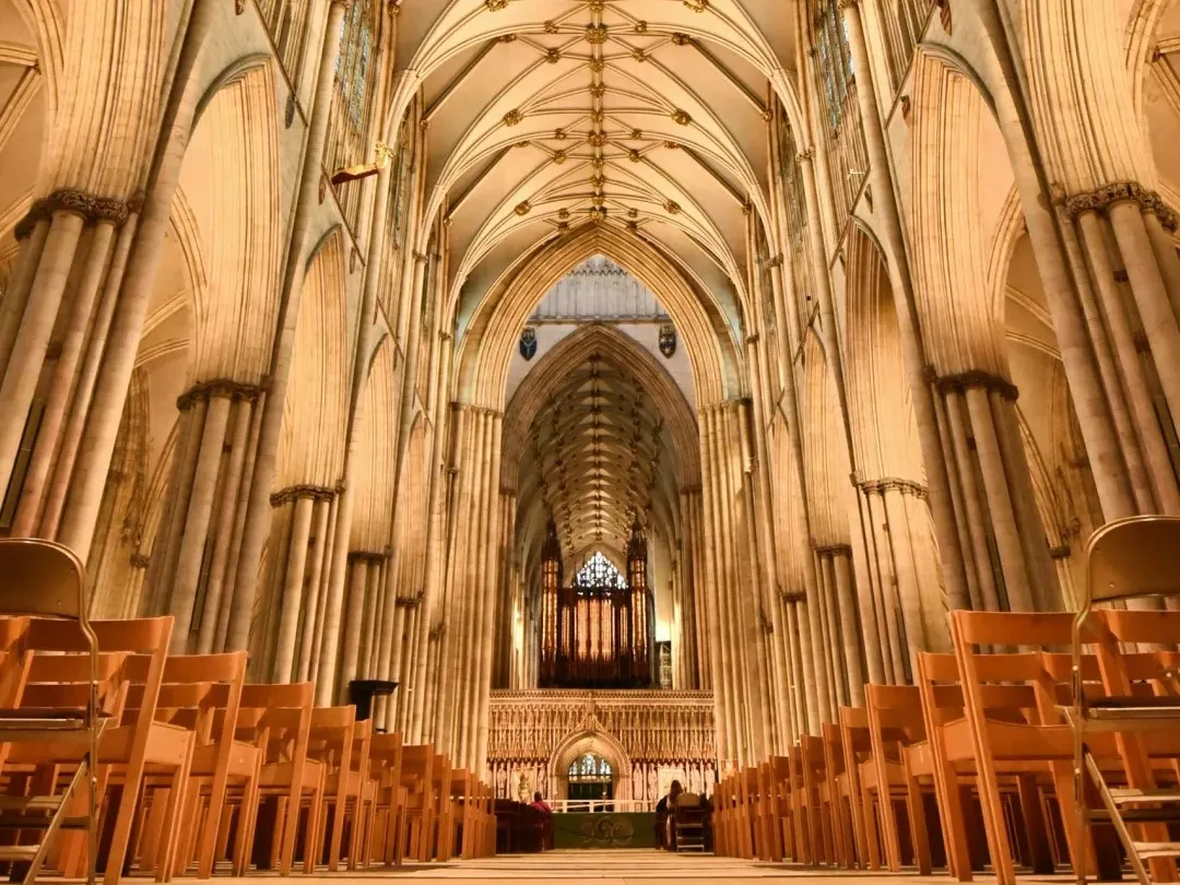 5f895e4ed4342d114af832dee8aaed48-sz_540639