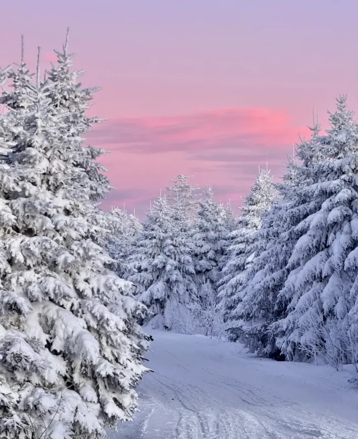 5f8ff6ddecb75596323a6da21aff96bb-sz_973451-1