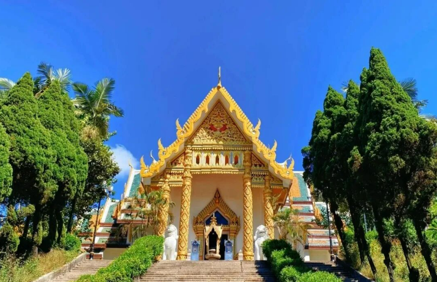 5feeabb4693c79a98ffc1eedff427731 5feeabb4693c79a98ffc1eedff427731