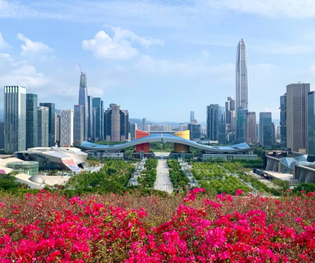 6048afbd43126ea452b4f4b65637b4d9-sz_335904