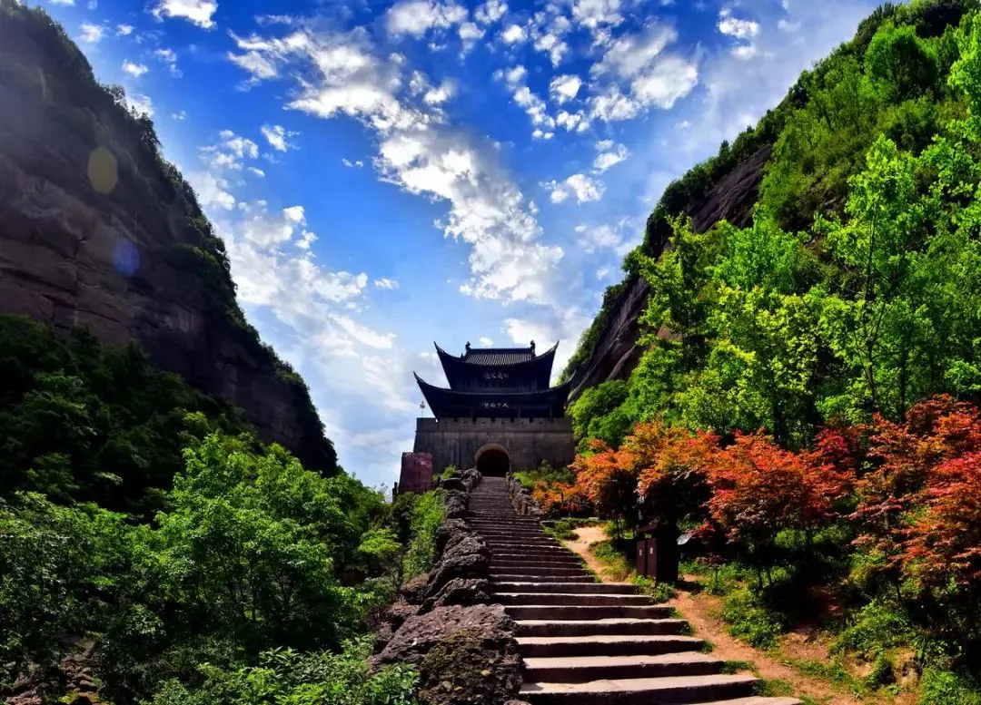 605ed824855c8b1e815e527de4011189-sz_220806-2