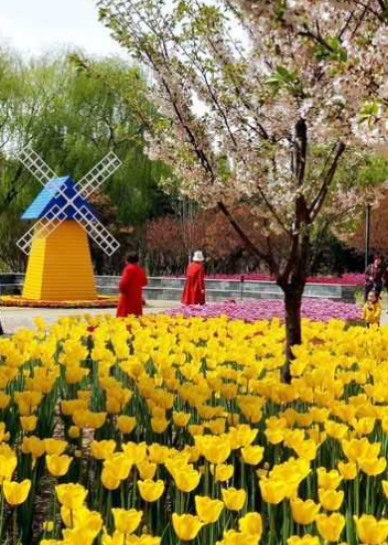 60b1b3a9d0bea90014f3a9aa52c89f3b-sz_545620 60b1b3a9d0bea90014f3a9aa52c89f3b-sz_545620