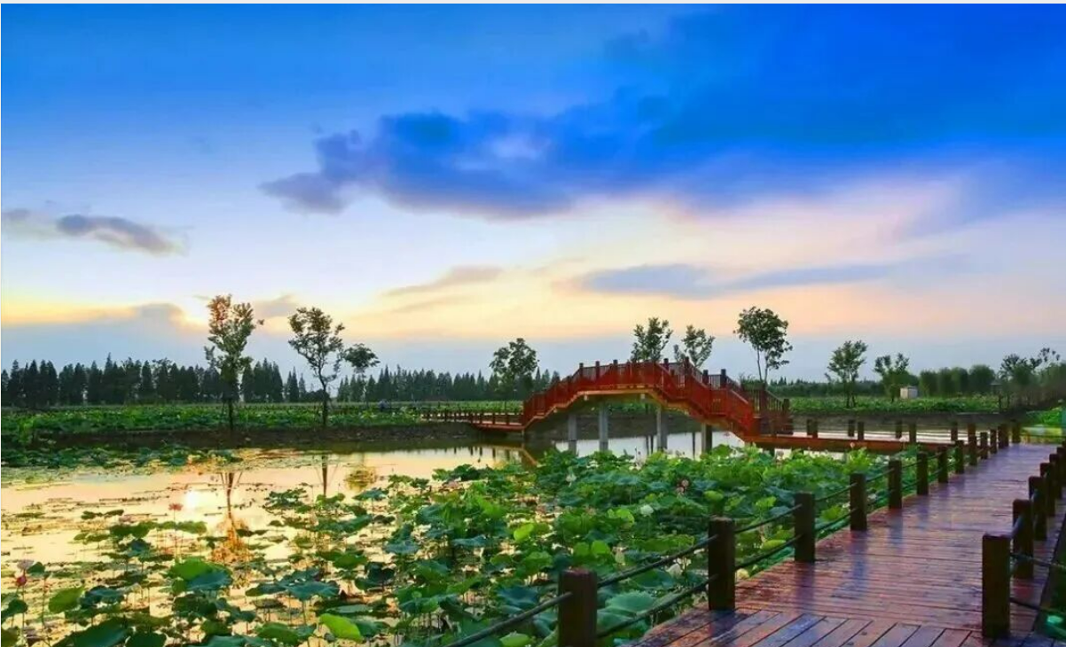 60ecef3435b56c3374ae0a8a6fb7520c