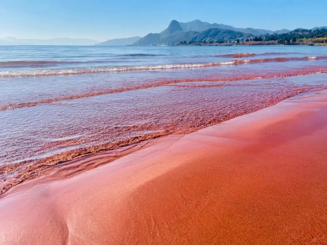 6134503dd8d1a6452432ac534cae4f00-sz_385230 6134503dd8d1a6452432ac534cae4f00-sz_385230