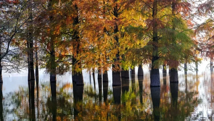 61765bb34cb9038a41b9eccee1758af7-sz_1149784-1