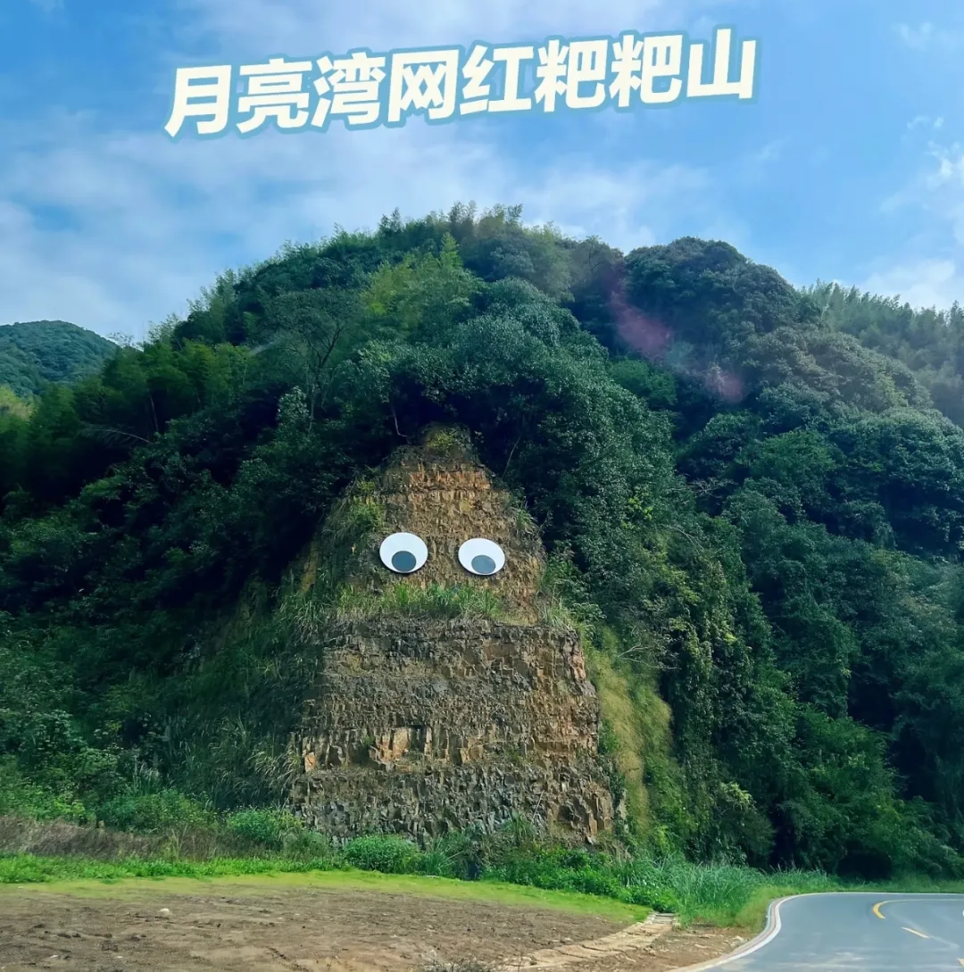 617ee39e180980ed86cb6536b347d70a-sz_2006283