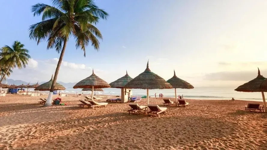 6187276ce53f4fdba9a56b9ce0c55657-sz_776684 6187276ce53f4fdba9a56b9ce0c55657-sz_776684