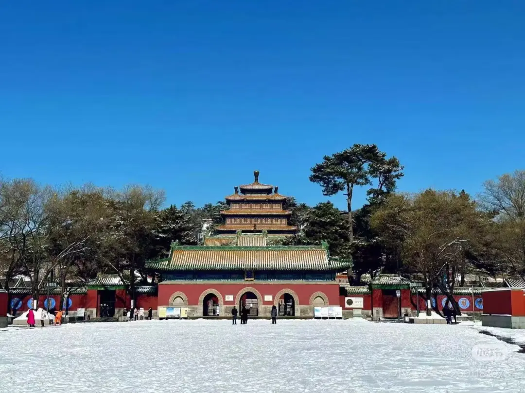 61ae189438d4247a5b8d1a81274eed2e-sz_234629