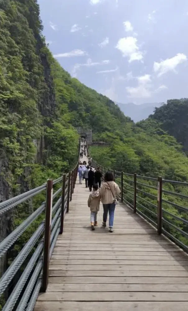 62057e9b1c4f22a88f5b08e2ebe31d09-sz_1085035