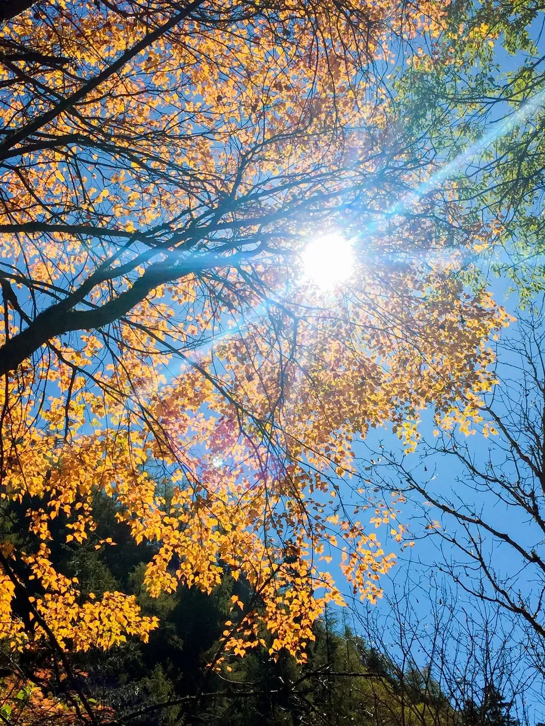 622ae2c26e9d8004bb3e0181714305c6-sz_591434