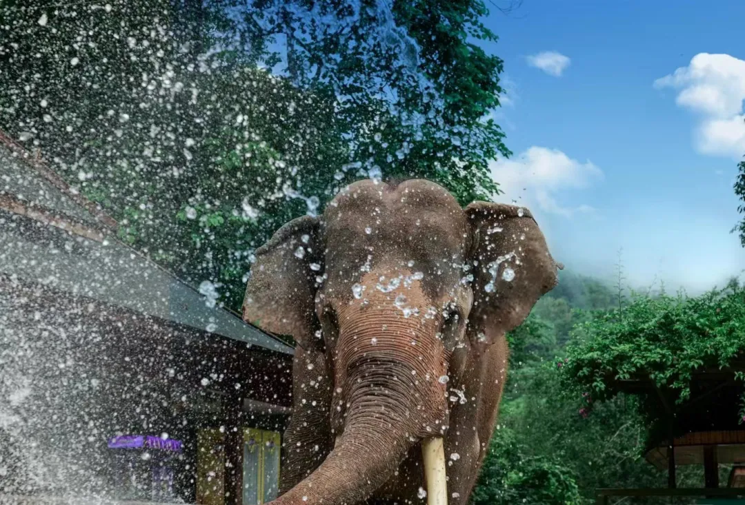 623015cb999349e41bfc34bc06a849b4-sz_2271240 623015cb999349e41bfc34bc06a849b4-sz_2271240