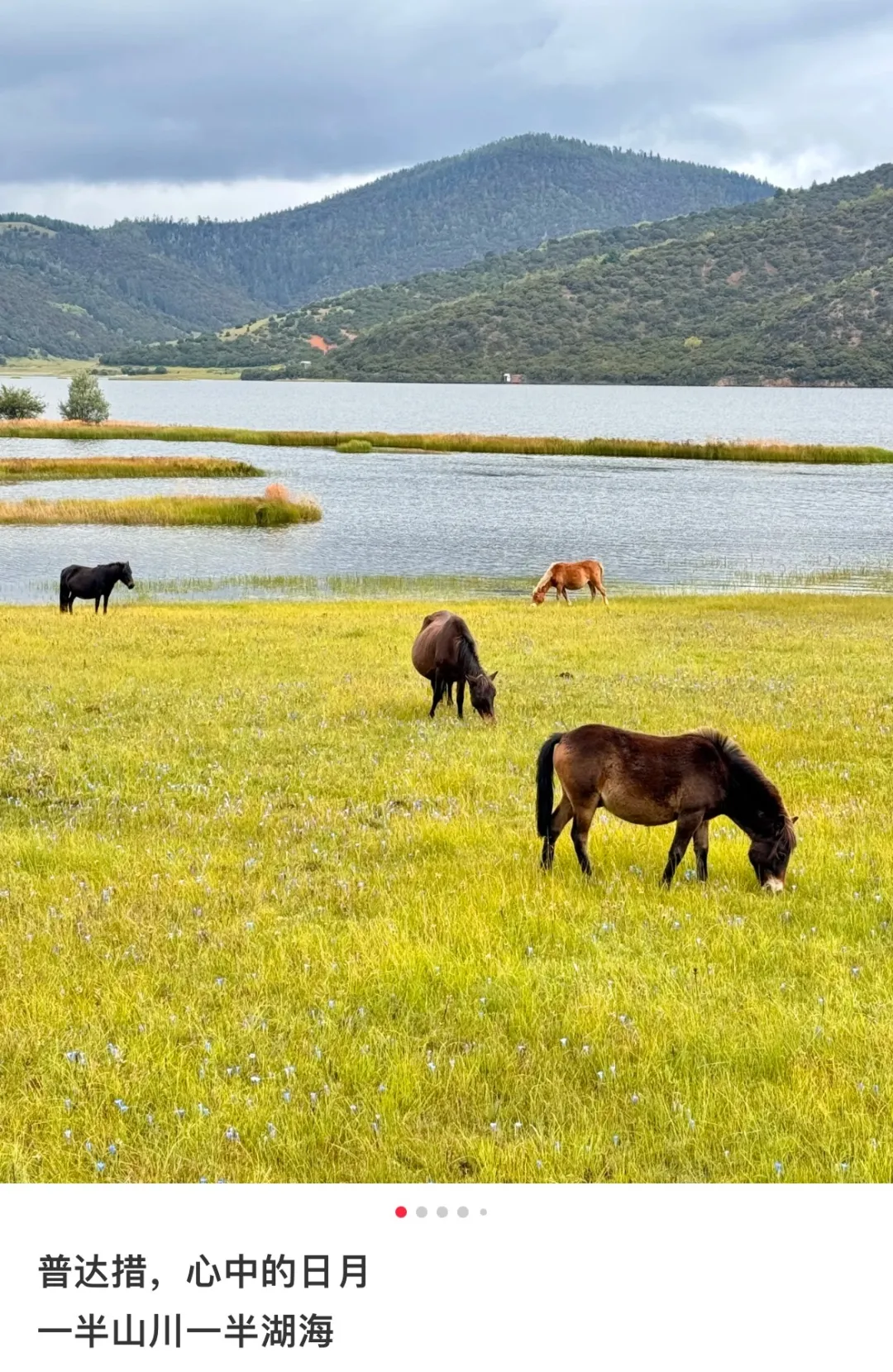 624d1b530f40abe6db737e0e6139d6b4-sz_703886 624d1b530f40abe6db737e0e6139d6b4-sz_703886