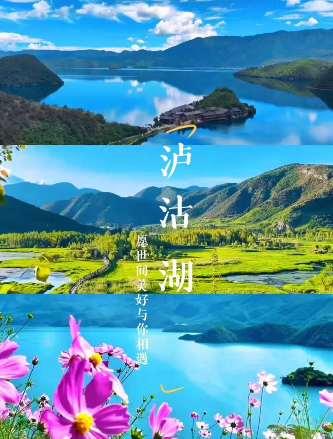 625c6695d746dcd8b82f994dadddb733-sz_259760