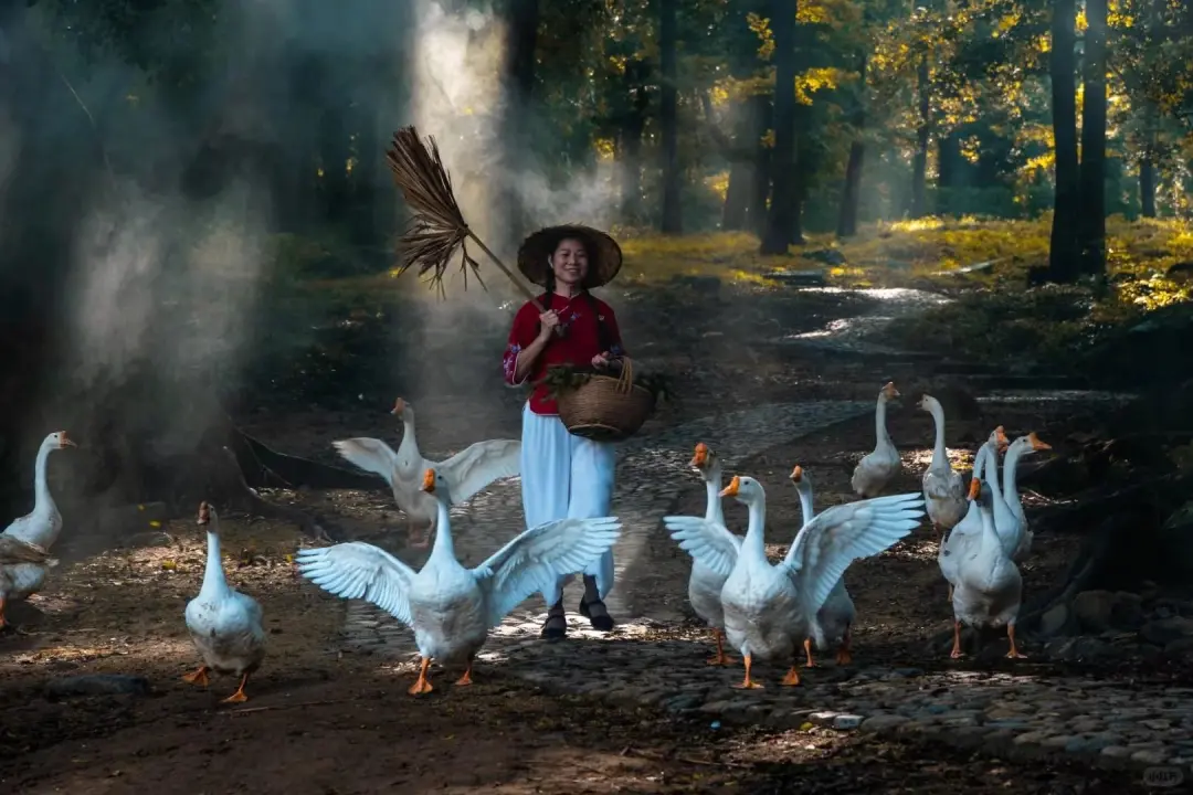 626cf8b0b4cdcef269e39eda8aa4d54b-sz_222203-1