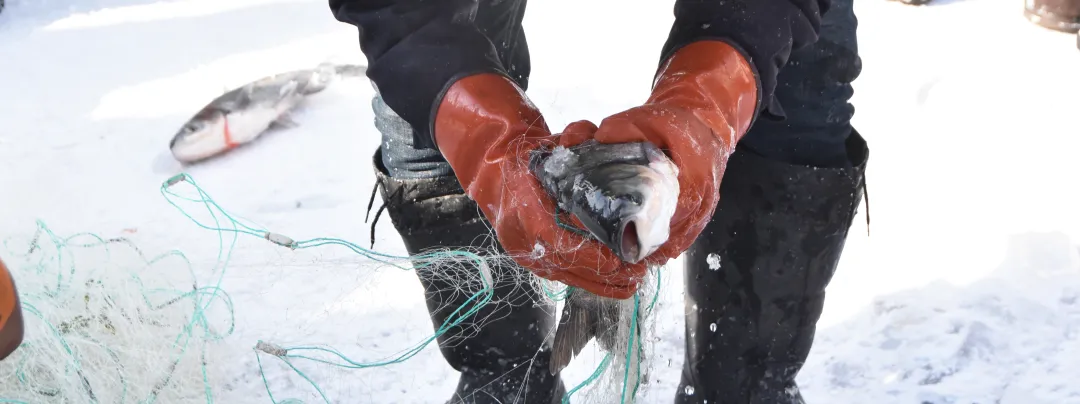 62753a0caf11ae26029093d0574635b6-sz_14171215-1