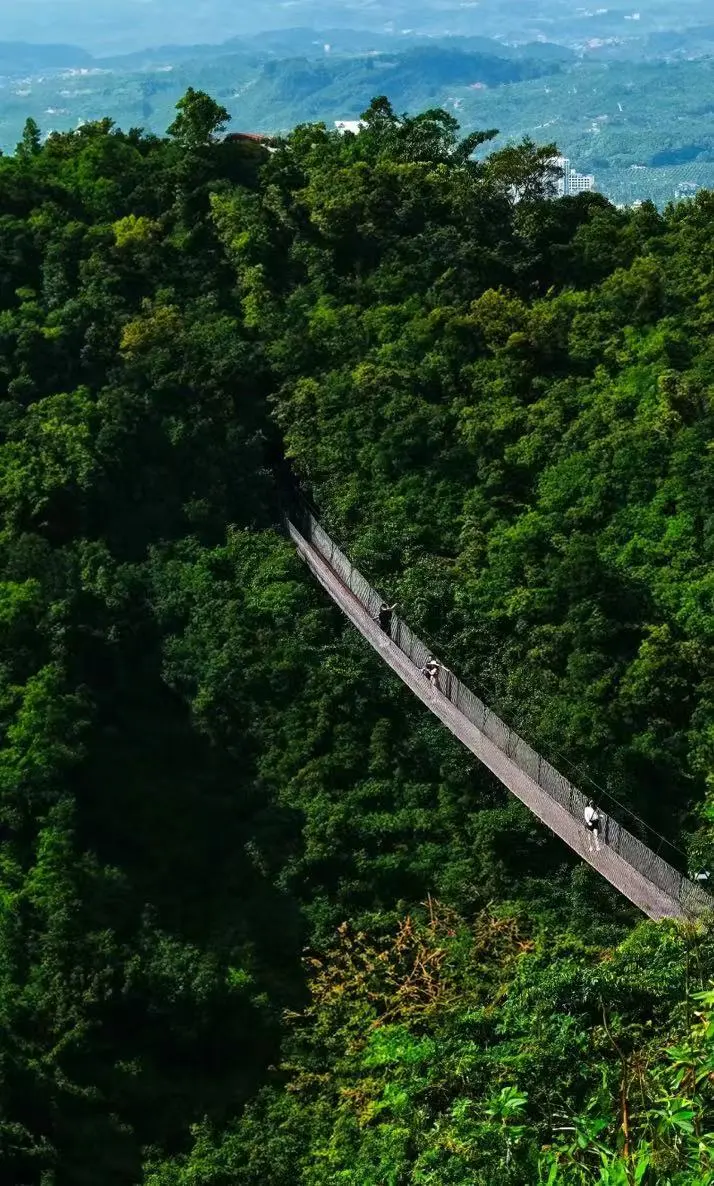 627a2942db914e857e814029da145a4a-sz_190338-1