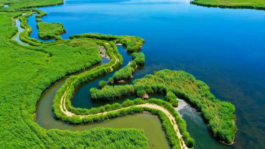 6293b662f1dbb4df8e9f07e9aa68ba64-sz_463847