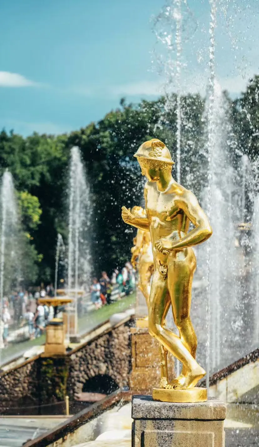 6295168018cb493371fc145244508a05-sz_2666490