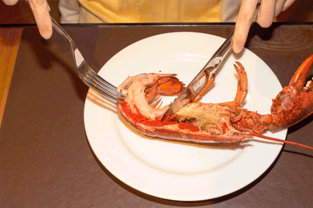 62a86874d2cdb27d9ddf552e96306d1e-sz_588406 62a86874d2cdb27d9ddf552e96306d1e-sz_588406