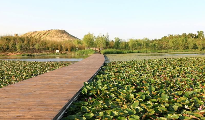 62b679b3fdc0f0804f80f1c2c185fab2-sz_840547