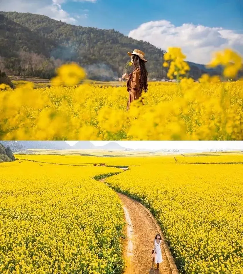 6300be47d4505085735470c02afdfeaf-sz_191195 6300be47d4505085735470c02afdfeaf-sz_191195