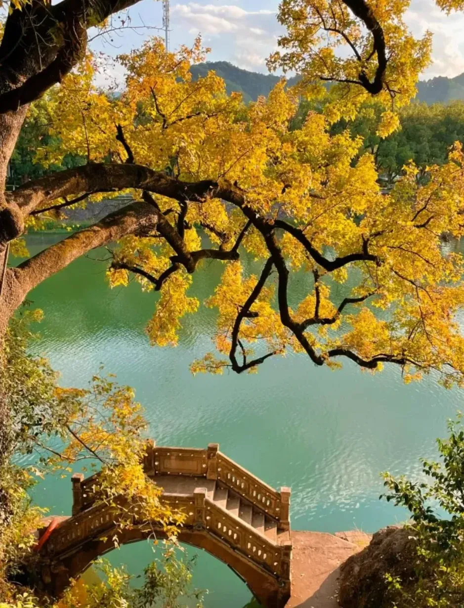 6307456fd5f68cc2e6d1970da43bd751-sz_2215841