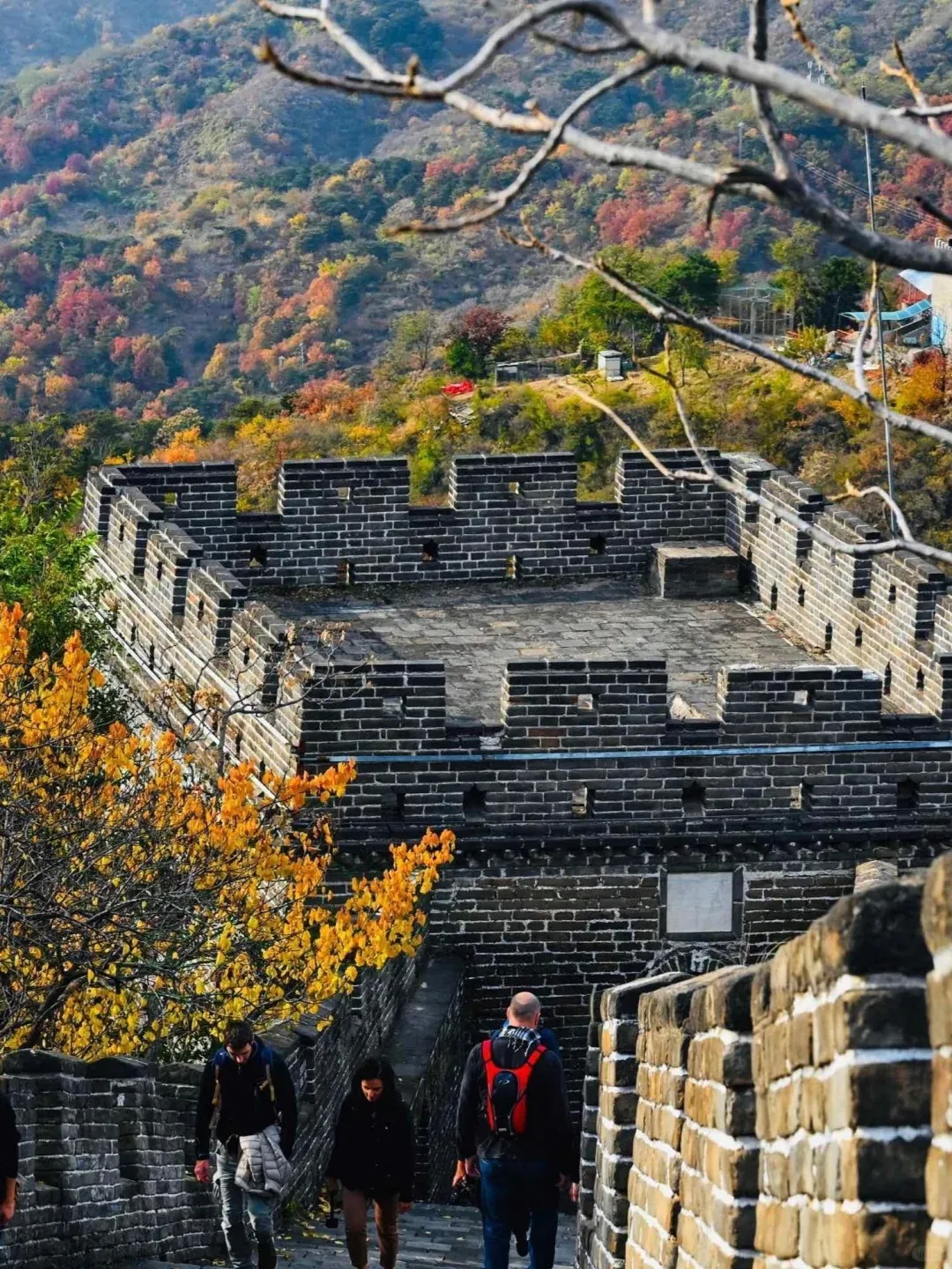 6357f731290f30a4bb69f59d36edf3e0-sz_608989 6357f731290f30a4bb69f59d36edf3e0-sz_608989