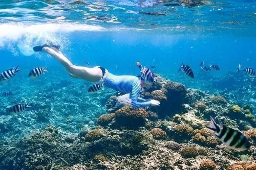 63a2f1f550e82be54a506c102aebfdd8-sz_330427