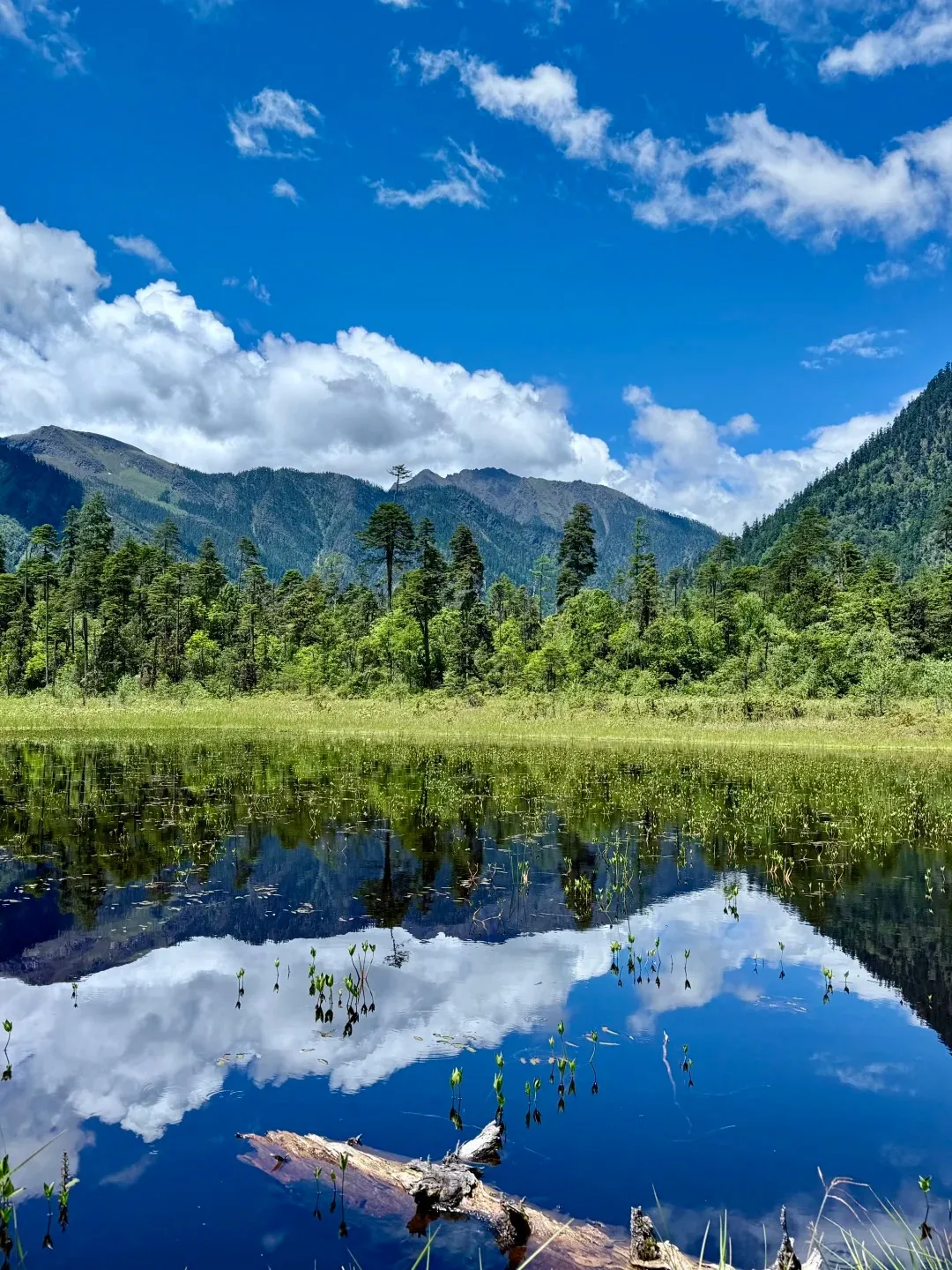 63bfd75763ea588f14050001e44b6250-sz_506028