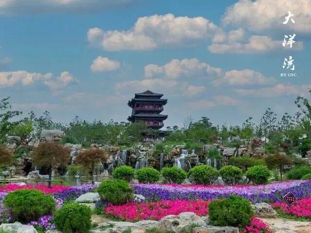 纯玩599盐城开元颐居酒店康养五日！1月份报名🈵6人赠送一台自动麻将 入住景区内四星酒店 空调 棋牌 KTV免费 高品质0投诉优质线路！