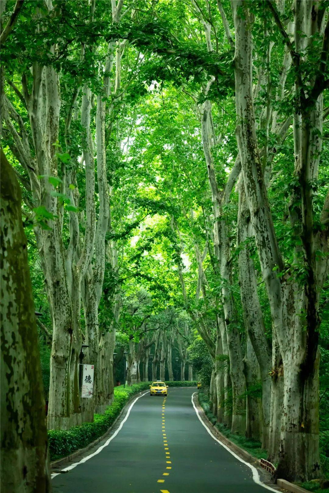 南京四钻【景鸿开元名庭酒店】周末不加价，399元每人，3天2晚4正2早！享棋牌&健身房娱乐！满城山水皆诗画，六朝文脉润金陵