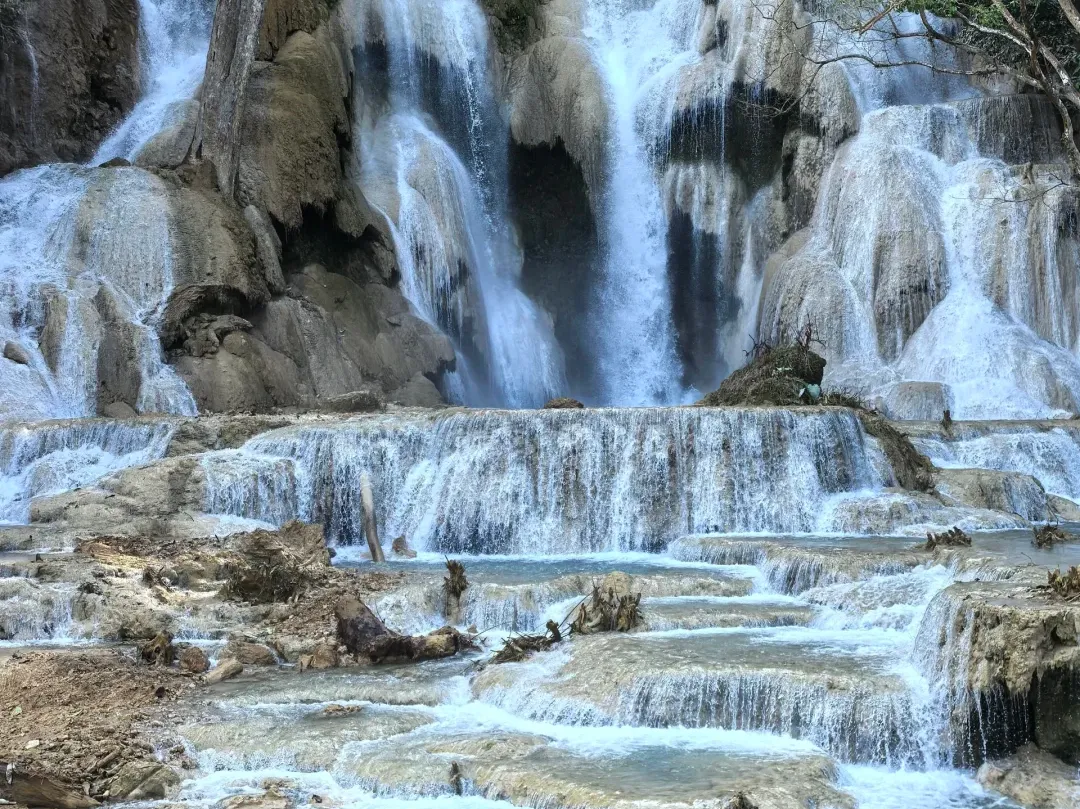 6409ebc2e610fd354a7fc8b31441d422-sz_3915693