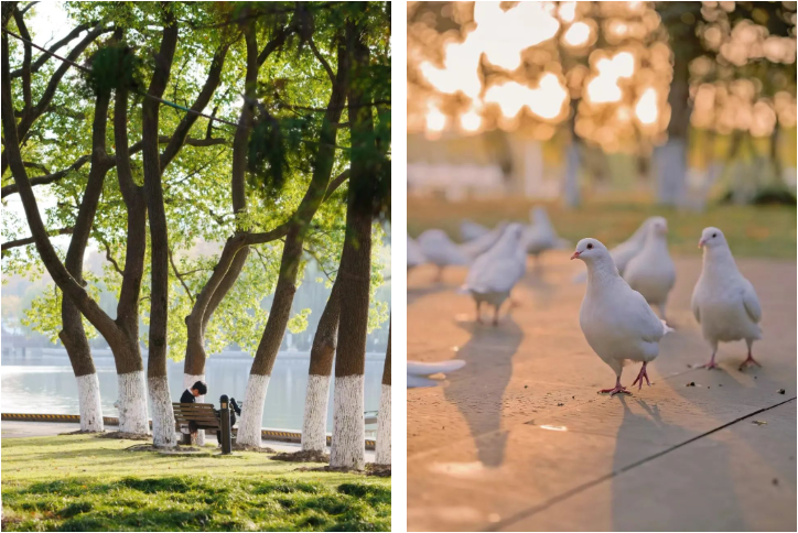 640RTWKxJJOrJfEKNcK 640RTWKxJJOrJfEKNcK