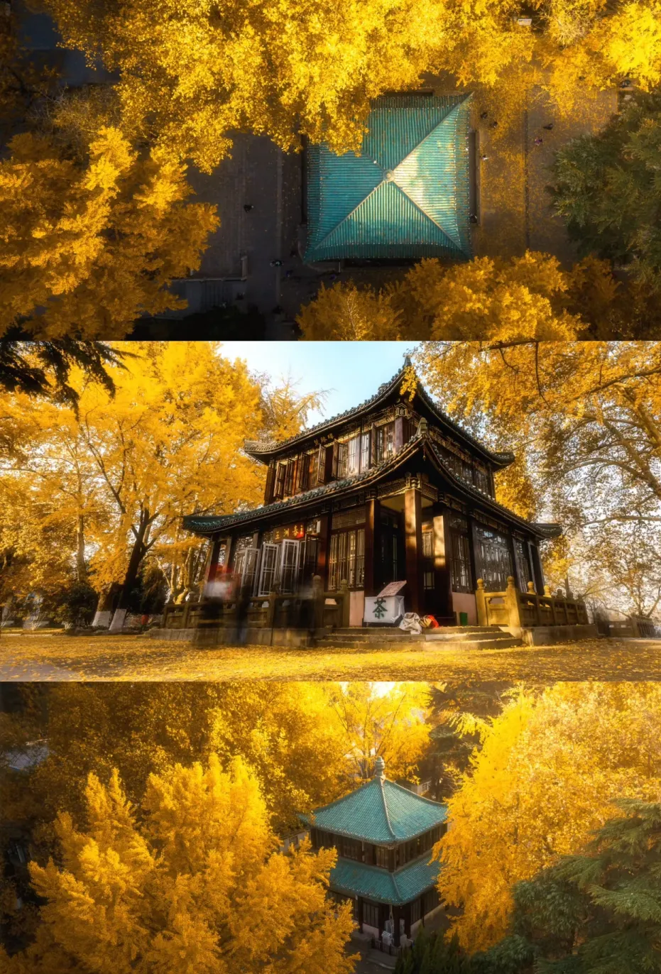 640be5cf2602913ee3c62ae523006a0b-sz_2365626