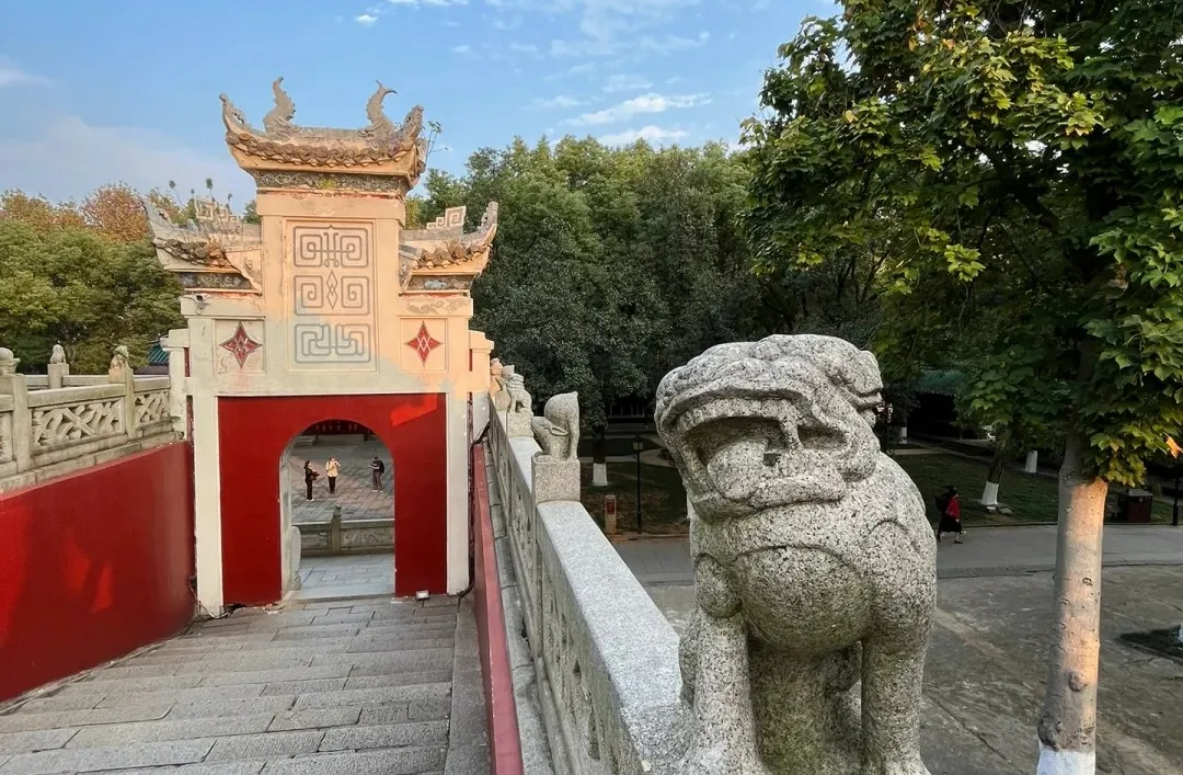 642166f79a78c537aef528b117dcd63d-sz_576587