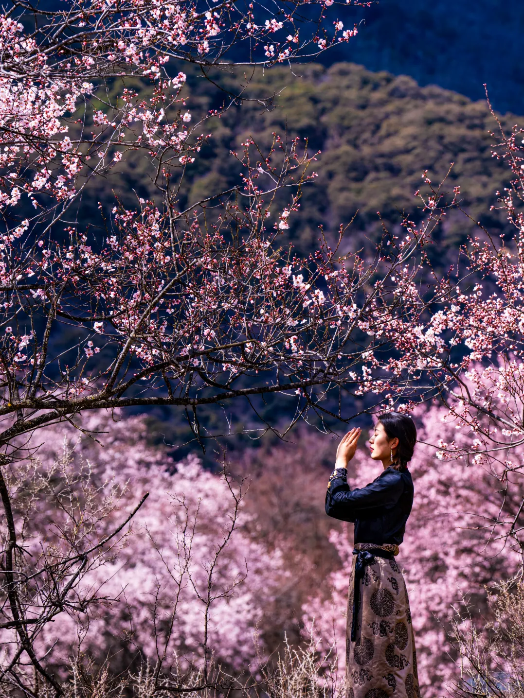 6423815a303805e7279a782976a45f5e-sz_3114700 6423815a303805e7279a782976a45f5e-sz_3114700