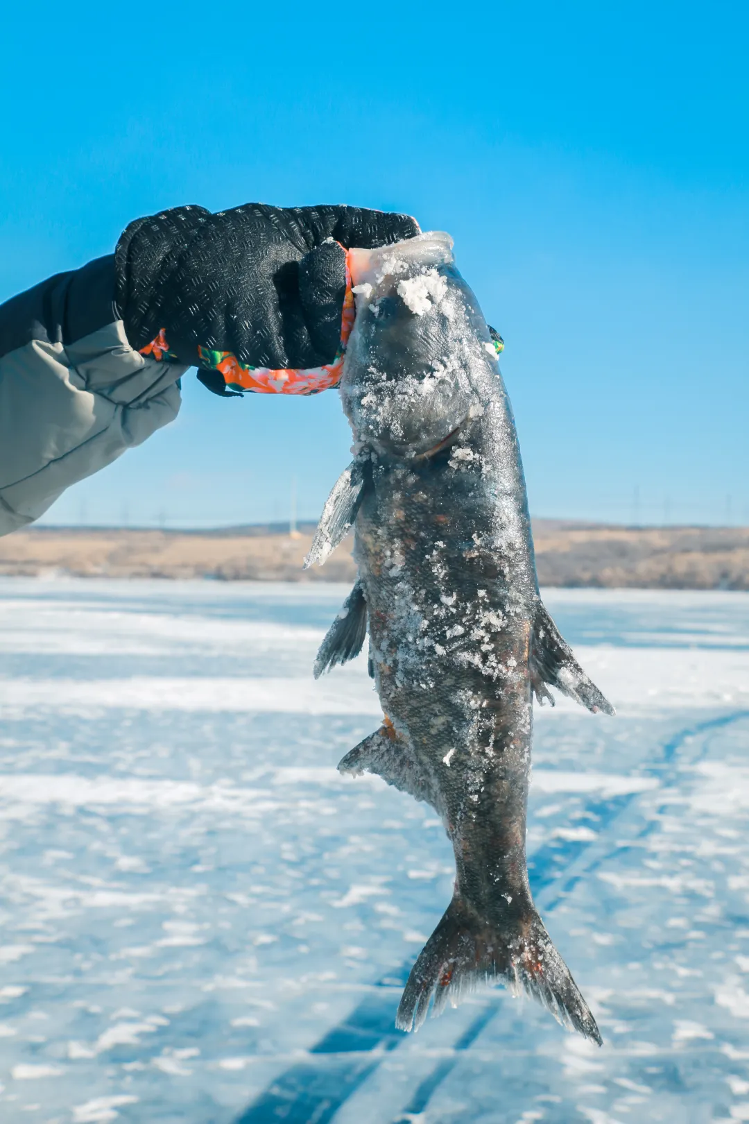 643552ee2af079747adc3a1f4b2ab5e2-sz_9239475-1 643552ee2af079747adc3a1f4b2ab5e2-sz_9239475-1