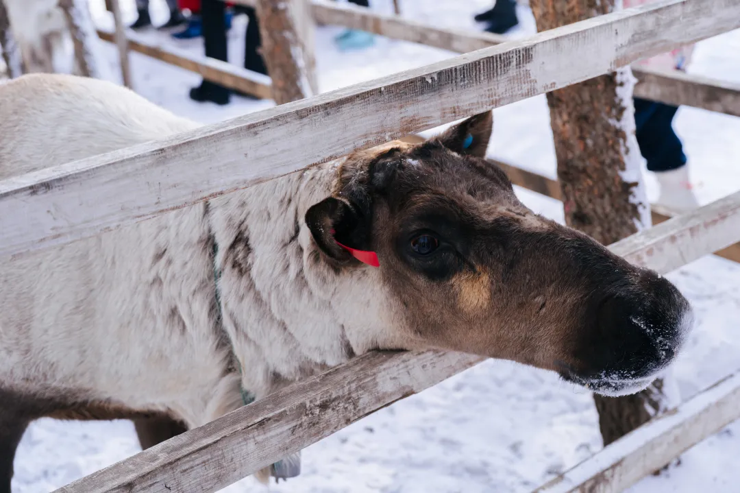 64542c8ed14c1370c774fa00e6bea7e1-sz_3606651 64542c8ed14c1370c774fa00e6bea7e1-sz_3606651