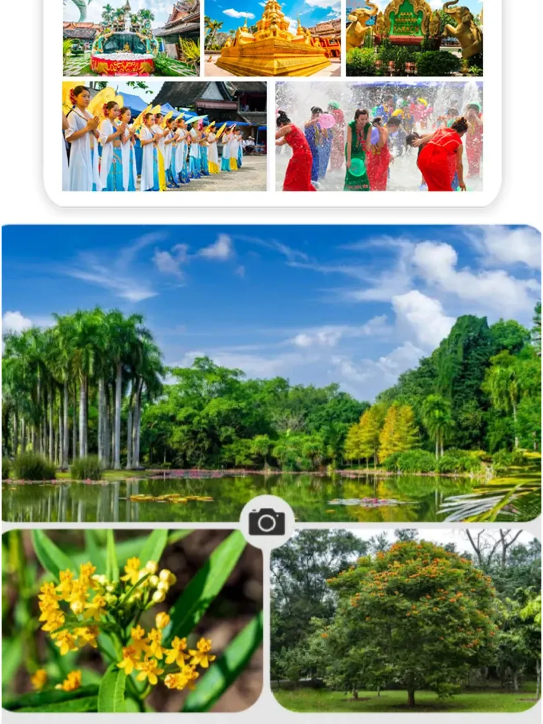 646d9f081ab9840dd33304991630826d-sz_625305 646d9f081ab9840dd33304991630826d-sz_625305