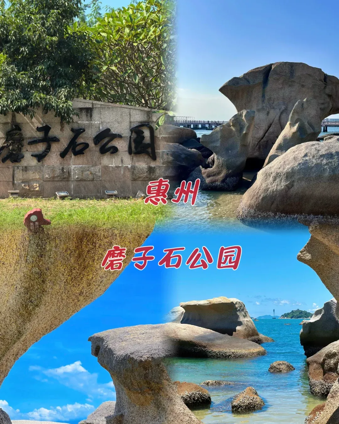 64711eddab1485cc7540479b39a893e1-sz_2779062