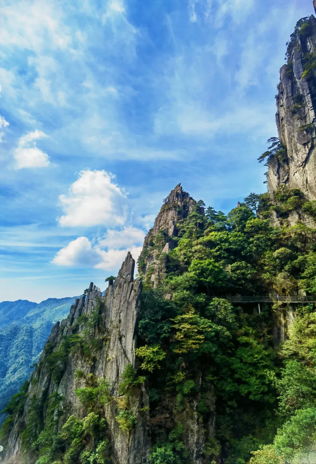 647318c8c734864a7724b8584e55dfa7-sz_3292166