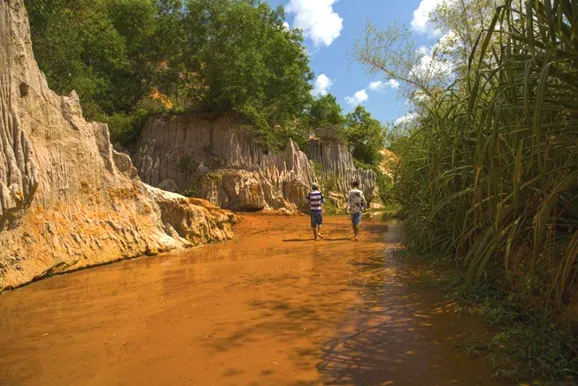 64790fd0c36811809a784e039c22a4a4-sz_565444