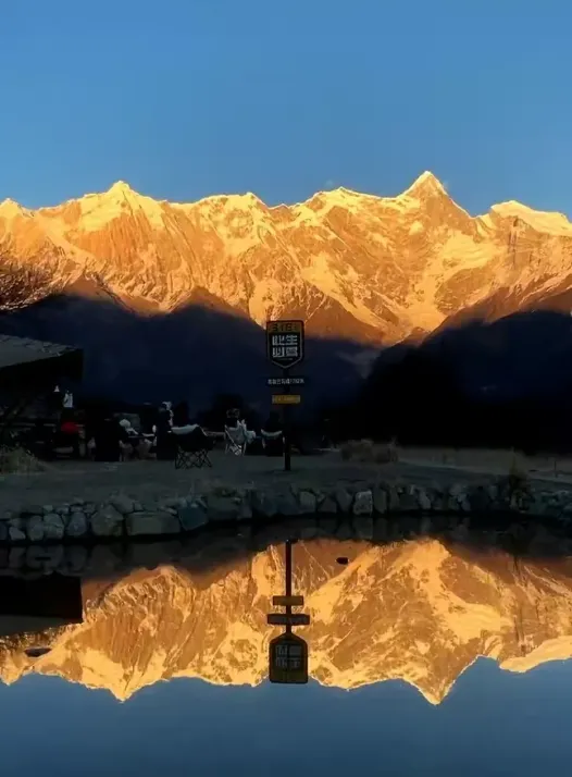 64cd7fddc5f682ddd36da9d23cd020f5-sz_431971