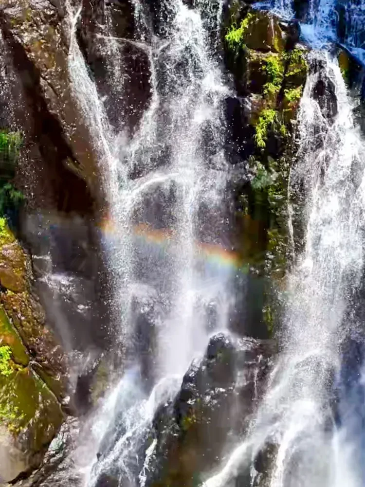 6511eb9aa16ac2388a2d1eafc01cb19e-sz_2487316 6511eb9aa16ac2388a2d1eafc01cb19e-sz_2487316